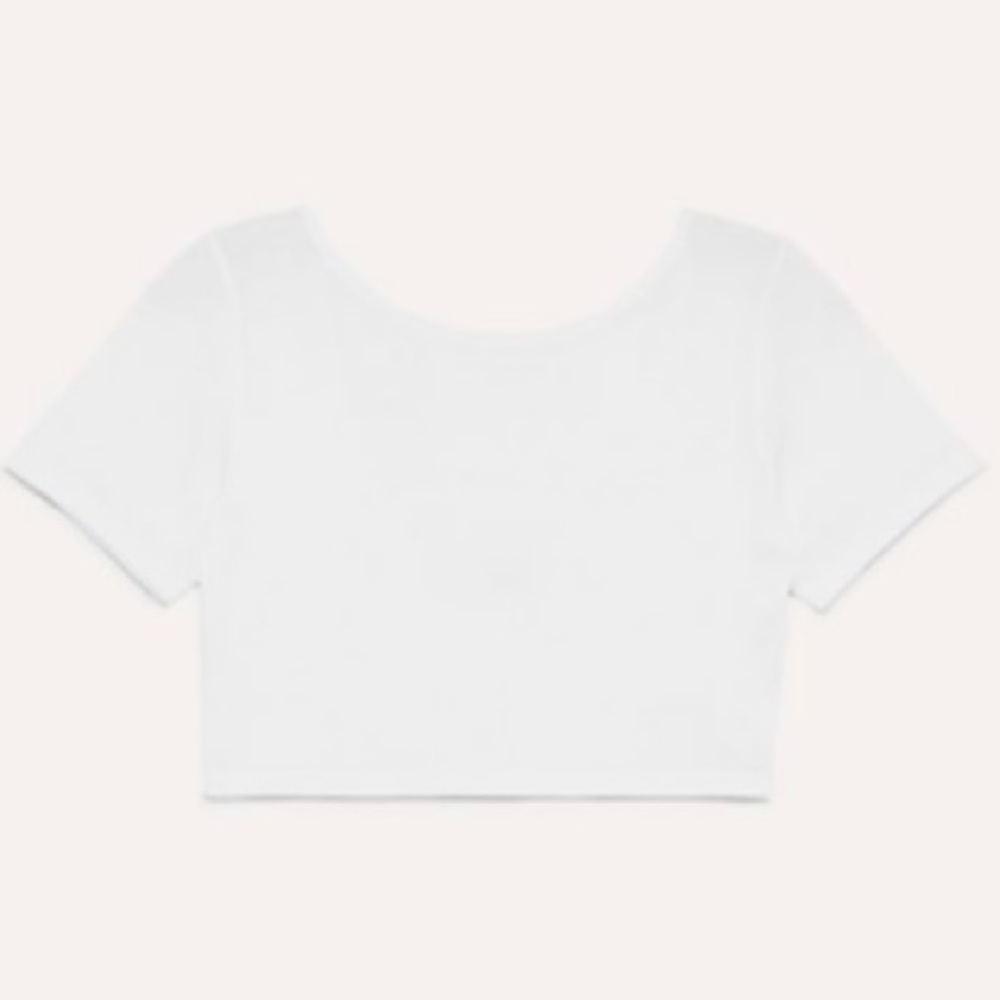 Aritzia cropped top